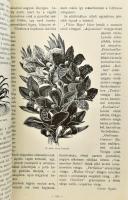 A kert. A kertészet összes ágait magába foglaló kertészeti szaklap. Főszerk és tulajdonos: Mauthner ...
