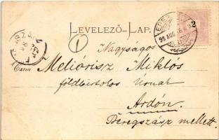 1898 (Vorläufer) Kolozsvár, Cluj; Fellegvár a Szamos mellett. Gibbon Albert kiadása / Somes riversid...