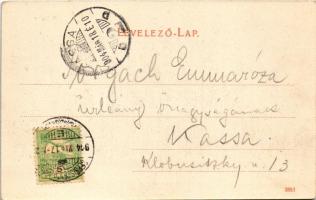 1904 Brassó, Kronstadt, Brasov; Panorama vom Raupenberg, Blick auf die innere Stadt / látkép / gener...