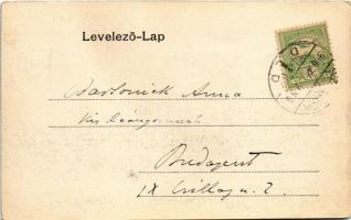 1906 Szolnok, Tisza híd, Móricz liget, "Sirály" csavaros vontató gőzhajó (a hajónév felett...