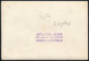 cca 1910 Csejte vára (Cachtice, Felvidék, Szlovákia), fotó, hátoldalon felirattal, Müllner János fot...
