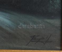 Olvashatatlan jelzéssel: Romantikus táj. Olaj, karton. Dekoratív fakeretben. 42x61 cm