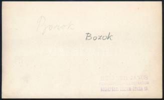 cca 1910 Bozoki vár (Bzovík, Felvidék, Szlovákia), hátoldalon feliratozott fotó Müllner János fotós ...