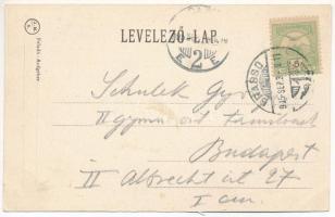 1905 Brassó, Kronstadt, Brasov; Hohe Warte / Magas pihenő vendéglő és szálloda kertje / inn, restaur...