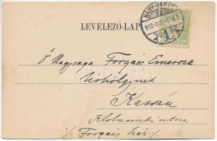 1902 Félixfürdő, Baile Felix; forrás. Láng József kiadása / spring source (EK)