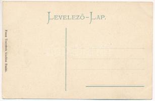 Buziásfürdő, Baile Buzias; József-forrás. Franz Testvérek kiadása / spa, spring source (EK)