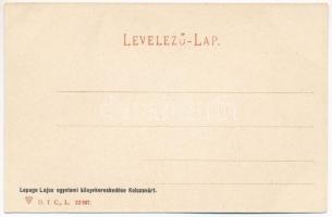 Kolozsvár, Cluj; látkép. Lepage Lajos kiadása / general view