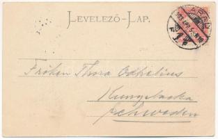 1903 Arad, Maros-part, uszoda / Mures riverside, swimming pool, bath (EK)