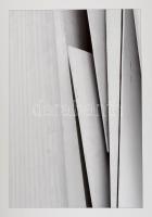 Anikó Robitz photographs 2007-2020. Szombathy Bálint szövegével. Robitz Anikó fotóival. Bp., 2021., ...