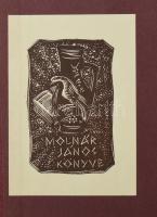 A magyar katona. Vitézségünk ezer éve I-II. Szerk. Pilch Jeno. 435 képpel, vázlattal és 10 melléklet...