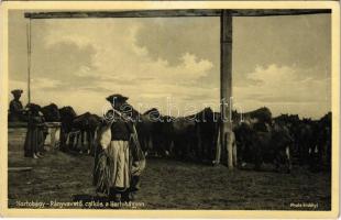 Hortobágy, Pányvavető csikós a Hortobágyon, magyar folklór. Photo Erdélyi