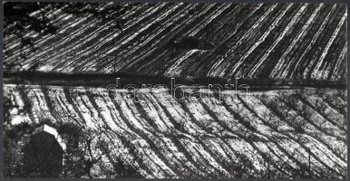 cca 1979 Giltán Tivadar budapesti fotóművész ,,Télutó" című vintage fotóművészeti alkotása, pecséttel jelzett, ezüst zselatinos fotópapíron, 20,5x39,8 cm