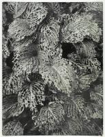 cca 1970 Gollob József ,,Levelek" című vintage fotóművészeti alkotása, feliratozva, kasírozva, ezüst zselatinos fotópapíron, sarka hajlott, 39,5x30 cm