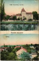 1913 Sárosd, Gróf Esterházy kastély, látkép. Mandl Sándor kiadása (fl)