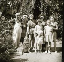 cca 1958 és 1969 között készült felvételek a Balatonról és a környezetéről, Medgyesi László (?-?) ke...