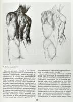 Petényi Katalin: Barcsay Jenő. Bp., 1986, Corvina. Gazdag képanyaggal illusztrált. Kiadói egészvászo...