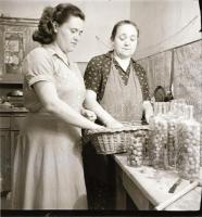 cca 1960-1970-es évek, Sinka Antal (?-?) fényképész és fotóriporter hagyatékából 13 db vintage NEGAT...