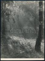 cca 1950 Jaiger Károly soproni fotóművész feliratozott, vintage fotóművészeti alkotása (Ködös reggel), ezüst zselatinos fotópapíron, 23,2x17 cm