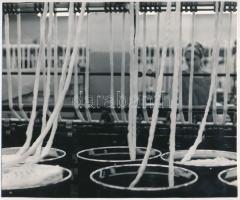 1970 Szabó Ferenc nevével jelzett vintage fotóművészeti alkotás (Fonoda), ezüst zselatinos fotópapíron, a kép a Népművelési Intézet által, Dunaújvárosban megrendezett központi fotós alkotótelep (eredeti fotókat tartalmazó) albumából származik, 17x20,8 cm