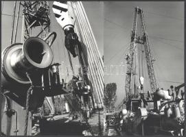 cca 1981 Vincze János (1922-1999) kecskeméti fotóművész hagyatékából 4 db vintage fotóművészeti alko...