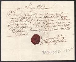 1855-1876 Bezeréd, régi viaszpecsétes okmányok, magyar és latin nyelven, lelkészi és parókiális szem...