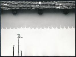 1974 Apatoczky István: ,,Déli napfény" című, feliratozott, vintage fotóművészeti alkotása, ezüst zselatinos fotópapíron, a kép a Népművelési Intézet által, Baján megrendezett központi fotós alkotótelep (eredeti fotókat tartalmazó) albumából származik, 18x24 cm