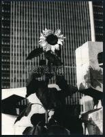 cca 1979 Madas László: ,,Betonvegetáció" című, feliratozott, vintage fotóművészeti alkotása, ezüst zselatinos fotópapíron, 24x18 cm