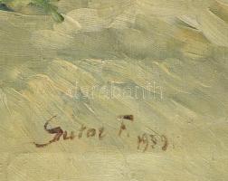 Olvashatatlan (Sutor F?) jelzéssel: Mosónők. Olaj, vászon. Fakeretben. 60x80 cm