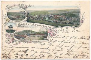 1902 Szentágota, Agnetheln, Agnita; Lederfabrik, Marktplatz, Aussichtswarte auf Steinburgschöh / bőrgyár, Piac tér, kilátó torony / leather factory, lookout tower, market square. M. Lang & Sohn Art Nouveau, floral