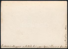 1931 Endresz György (1893-1932) és Magyar Sándor pilóták kényszerleszállása a bicskei határban, rajt...