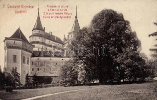 Bajmóc castle and Ráckóczi lime tree (EB)