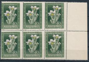 1950 Virág I. 40f ívszéli hatostömb elfogazva / with shifted perforation