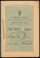 1870 Osztrák-Magyar Monarchia, I. Ferenc József nevében kiállított útlevél Demeter Gyula (1853-1881)...