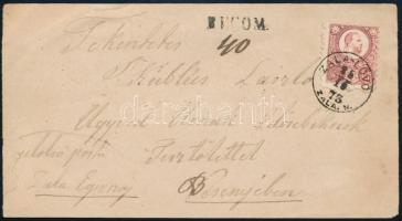 1873 5kr ajánlott levél előlapon / on registered cover front ZALA-LÖVŐ / ZALA.M.