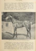 Kovácsy Béla - Monostori Károly: A ló és tenyésztése. 600 képpel, 14 műmelléklettel és 1 színes lóte...