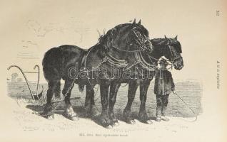 Kovácsy Béla - Monostori Károly: A ló és tenyésztése. 600 képpel, 14 műmelléklettel és 1 színes lóte...