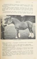 Kovácsy Béla - Monostori Károly: A ló és tenyésztése. 600 képpel, 14 műmelléklettel és 1 színes lóte...