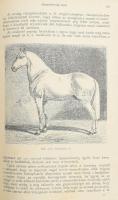 Kovácsy Béla - Monostori Károly: A ló és tenyésztése. 600 képpel, 14 műmelléklettel és 1 színes lóte...