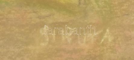 Sikuta Gusztáv (1919-1985): Kert. Pasztell, papír, jelzett. Üvegezett fakeretben, 26x30,5 cm