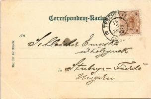 1898 (Vorläufer) Cieszyn, Teschen; Herz Jesu Kirche, Erzherzog Albrecht Allee / church, street view....