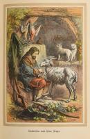 Defoe, Daniel: Der erste und ällteste Robinson. Kiadói félvászon kötés, illusztrált, kötéstáblán fol...