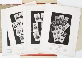 cca 1896 Die Professoren der medicinischen Facultäten von Oesterreich-Ungarn 15 db képes táblát tart...