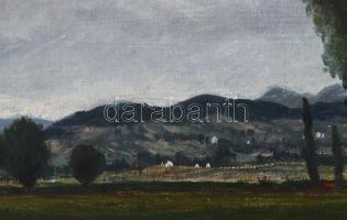 Molnár C. Pál (1894-1981): Hegyvidéki táj. Olaj, falemez, jelzett. Hátoldalán korabeli címkén felira...