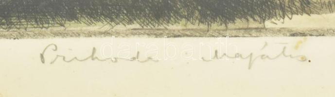 Prihoda István (1891-1965): Majális. Színezett rézkarc, papír, jelzett, lapon apró foltokkal, üvegez...