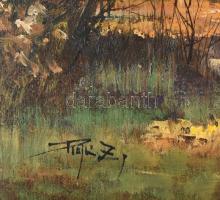 Rajczi Zoltán (1960-): Őszi arborétum. Olaj, farost. Jelzett. Dekoratív fakeretben. 50x70 cm