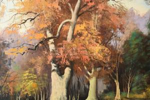 Rajczi Zoltán (1960-): Őszi arborétum. Olaj, farost. Jelzett. Dekoratív fakeretben. 50x70 cm
