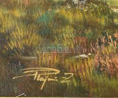 Rajczi Zoltán (1960-): Nyár (horgász). Olaj, farost. Jelzett. Dekoratív fakeretben. 40x60 cm