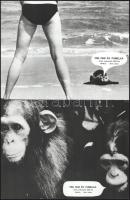 cca 1970 ,,Pim, Pam és Pumelka" című NSZK-beli film jelenetei és szereplői, 17 db vintage produkciós filmfotó ezüst zselatinos fotópapíron, a használatból eredő (esetleges) kisebb hibákkal, 18x24 cm