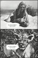 cca 1970 ,,Pim, Pam és Pumelka" című NSZK-beli film jelenetei és szereplői, 17 db vintage produ...