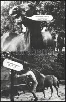 cca 1970 ,,Pim, Pam és Pumelka" című NSZK-beli film jelenetei és szereplői, 17 db vintage produ...